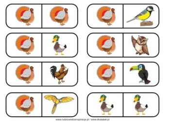 Ptaki domino do druku