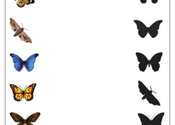 Dopasuj cienie – Mieszkańcy Łąki. (PDF do druku)