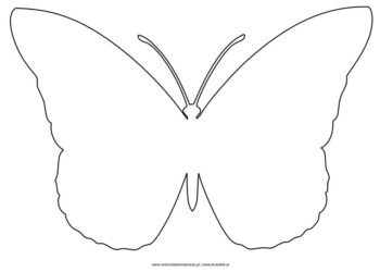 Motyl szablon rysunek do druku