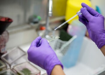 Cytologia – badanie, które ratuje życie