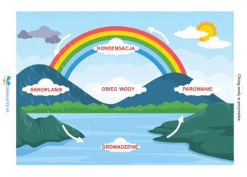 obieg wody w przyrodzie