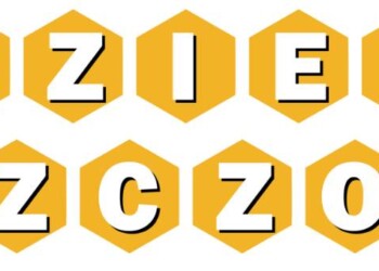 Dzień Pszczoły napis do druku