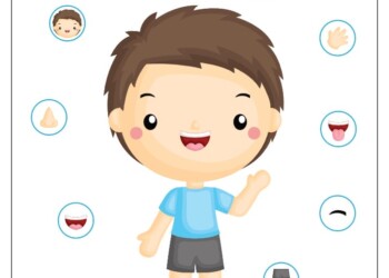 Części ciała karty pracy do druku